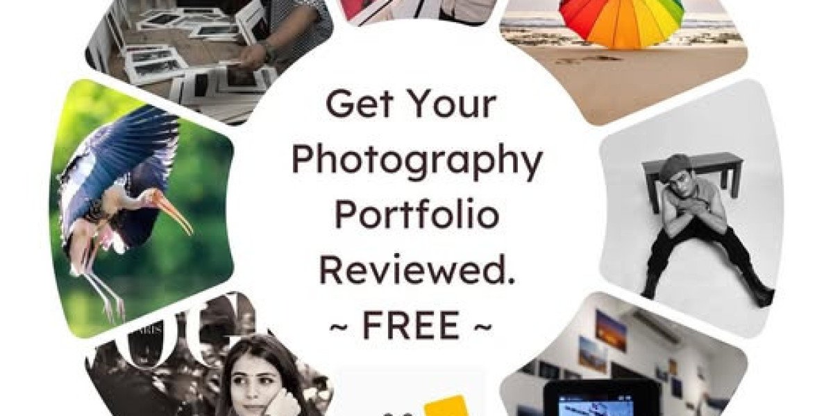 IIP Academy: Master of Fine Arts Programs in India