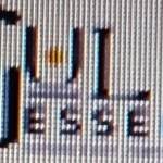 Gulessence Profile Picture